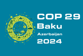   Wir werden im Rahmen der COP29-Präsidentschaft eng mit Aserbaidschan zusammenarbeiten  