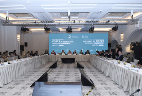  Auf dem in Baku veranstalteten hochrangigen Treffen findet eine Podiumsdiskussion zum Thema „Die Rolle von Wissenschaft, Technologie und Innovation“ statt  