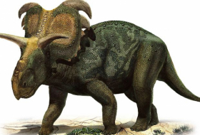   Neue Dinoart mit außergewöhnlichen Hörnern entdeckt  