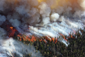   In Jakutien brennen 460.000 Hektar Waldfläche  