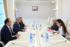   Interparlamentarische Beziehungen zwischen Aserbaidschan und Brasilien besprochen  