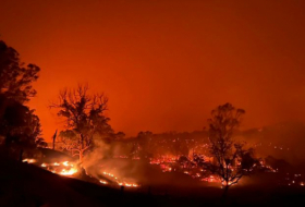   Zahl extremer Waldbrände hat sich verdoppelt  