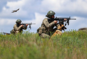   Türkische Armee tötete neun Terroristen  