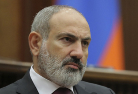     Paschinjan:   Wir sind mit der Qualität der Demokratie in Armenien unzufrieden  