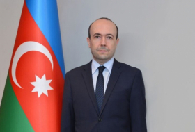     Außenministeriumsbeamter:   Es gibt dynamische Beziehungen zwischen Aserbaidschan und Bulgarien  