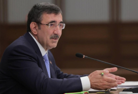     Vizepräsident der Türkei:   Wir werden Aserbaidschan im Hinblick auf die COP29 weiterhin unterstützen  