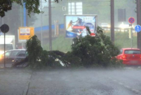 Mann vom Baum erschlagen - Gewitter wüten über Nordosten