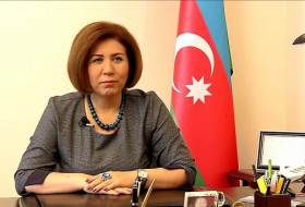 Aserbaidschan ist gegen die Eskalation der Spannung zwischen Russland und Türkei- Vize Speaker des Parlaments
