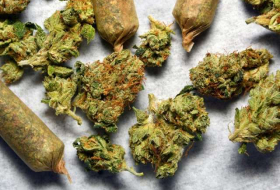Drogenbeauftragte will Gesetz zu Cannabis als Medizin