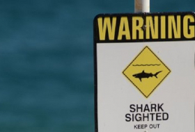 Australien: Hai beißt Surfer Bein ab
