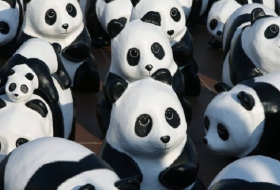 OECD eröffnet Verfahren gegen den WWF