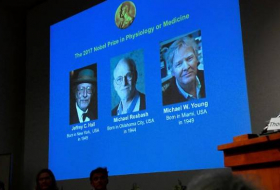 Medizin-Nobelpreis geht an drei US-Forscher