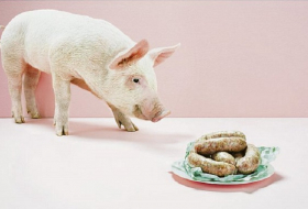 In dieser deutschen Stadt gilt jetzt “Schweinefleischverbot“ in Kitas