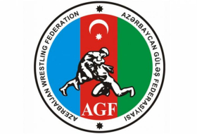 Aserbaidschans Juniorenringer nehmen am Turnier in Georgien teil