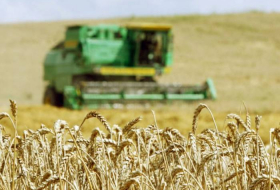 Bis jetzt aus Getreidefeldern ca.1 Million Tonnen Weizen geerntet