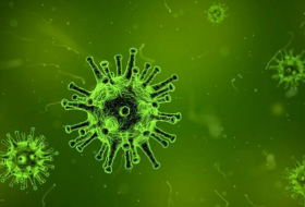 Forscher stellen Verbreitung unheilbarer Infektionen in USA fest