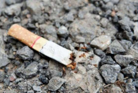 Rauchen tötet - vor allem einen Teil unserer Gesellschaft