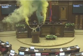 Parlamentarier protestieren gegen Sargsyan und brennen Feuerwerk ab (VIDEO)