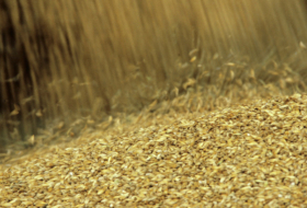 Getreide-Invasion von Moskau? Politiker Litauens über Agrarhandel empört