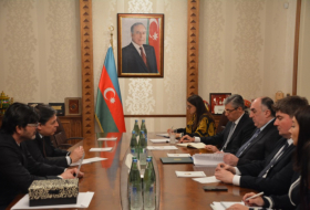   Neuer Botschafter Brasiliens überreicht Aserbaidschans Außenminister Kopie seines Beglaubigungsschreibens  