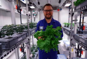 270 Kilo Gemüse in der Antarktis geerntet