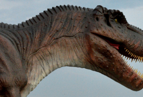 Dinosaurier-Forschung: Wissenschaftler kommen zu neuen Erkenntnissen