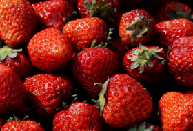 Deutsche Erdbeeren zunehmend unter Glas und Folie angebaut – Naturschützer besorgt