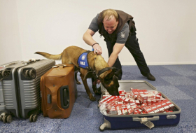 So werden Hunde bei der Polizei ausgebildet