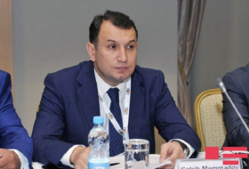   Stellvertretender Minister -  Afghanistan hat bisher 1,5 Mio. USD in Aserbaidschans Wirtschaft investiert 