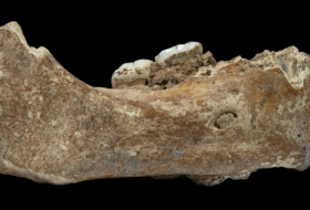 Skelett des Denisova-Urmenschen rekonstruiert