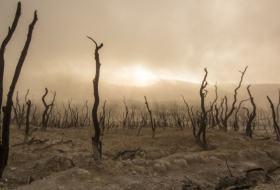   Menschheit droht „unsägliches Leid”: 11.000 Forscher warnen vor „Klima-Notfall“  