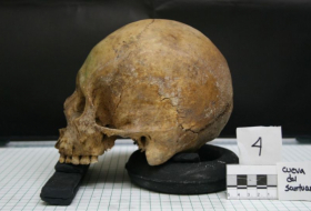   Uraltes weibliches Skelett gibt Vorstellung über erste Bewohner Amerikas -   Forscher    