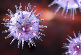   Welche Viren lösen wie oft Krebs aus?  