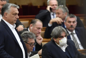 Bundesregierung kritisiert Viktor Orban wegen Notstandsgesetze