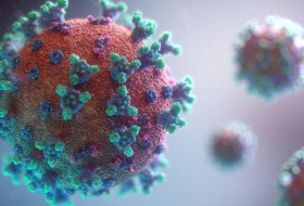   Die größten Rätsel um das Coronavirus  