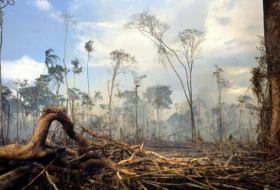   Im Amazonas-Gebiet brennen wieder große Regenwald-Flächen  
