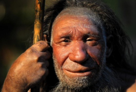 Zusammenhang mit Neandertaler-Erbgut und Anfälligkeit für Corona-Infektion?