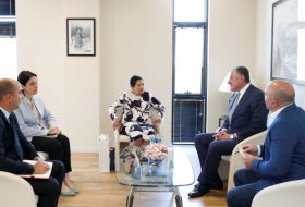   Georgische Präsidentin trifft den scheidenden aserbaidschanischen Botschafter  