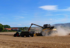 Bauernverband fordert Strategie gegen Klimawandel-Folgen