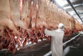   Razzien gegen zwei Fleischbetriebe  