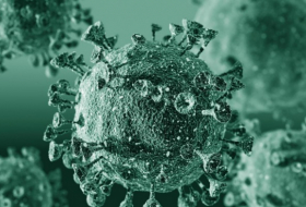 1.176 neue positive Coronavirus-Tests in Deutschland