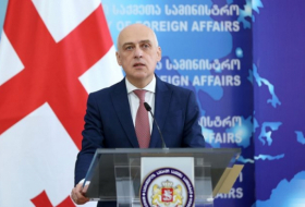   Georgischer Außenminister gratuliert Aserbaidschan zum Unabhängigkeitstag  