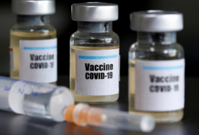   Russland registriert weltweit ersten Corona-Impfstoff für Tiere  