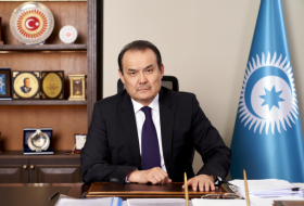   Chef des Turkischen Rates verurteilt Bidens Aussage zum sogenannten 