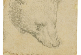 Da Vincis Bärenkopf-Zeichnung kommt zu Versteigerung – Auktionshaus hofft auf Rekord