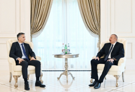   Präsident Ilham Aliyev empfängt den Generaldirektor von Signify  