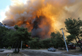   Waldbrände wüten im Süden der Türkei –   FOTOS    