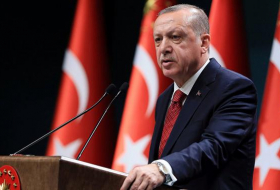   Erdogan dankte 73 Ländern, darunter Aserbaidschan  