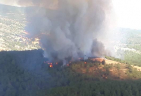   Wieder in Türkei brennt Wald  