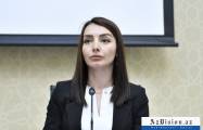   Aserbaidschanisches Außenministerium kommentiert die Vorwürfe der armenischen Seite über angebliche   „Pogrome“    